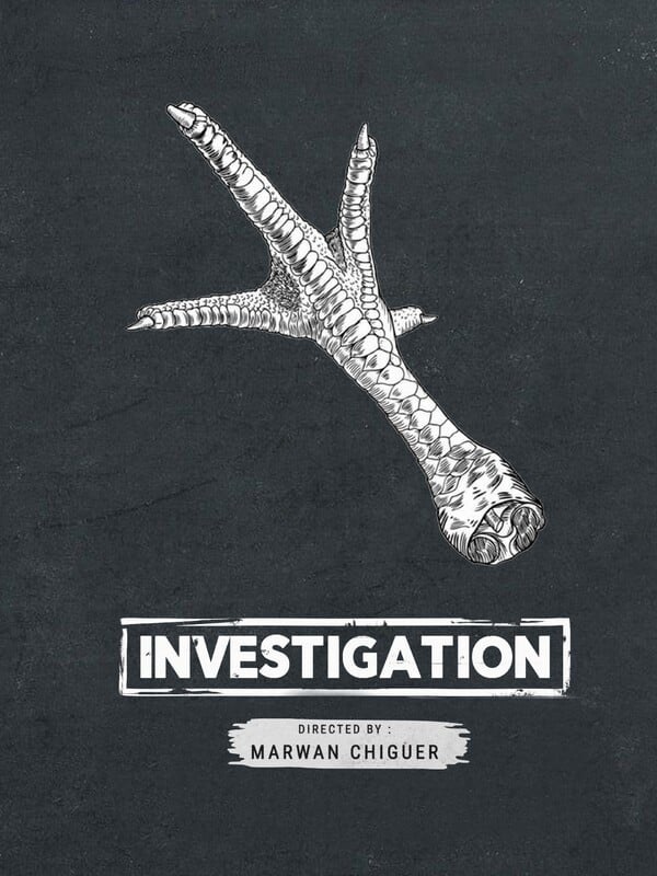 INVESTIGATION