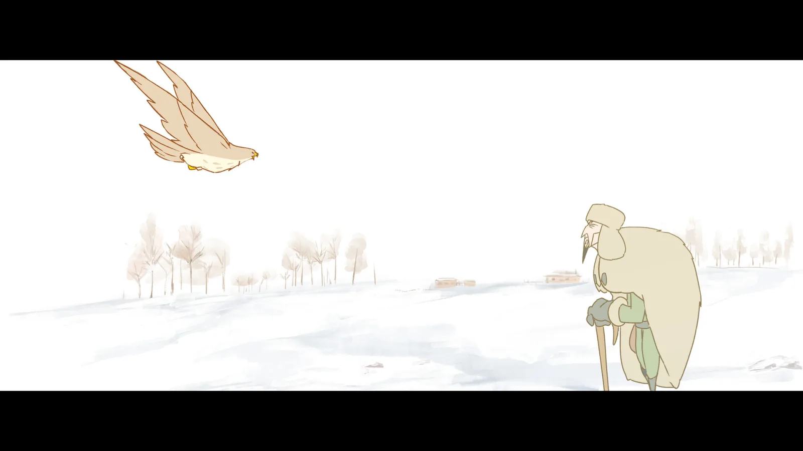 Hawks